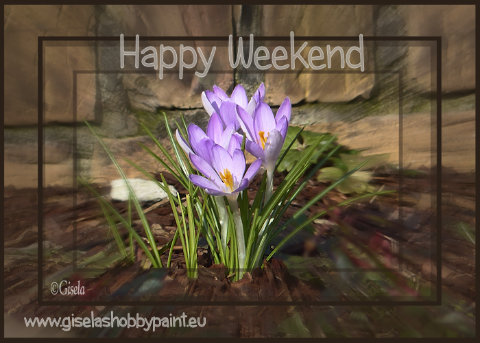 An den Beitrag angehängtes Bild: http://www.giselashobbypaint.eu/images/Bilder/Blumen/blumen%2066a.png