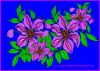 blumen41