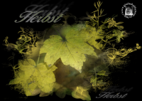 herbst41