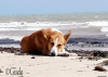IMG-20240705-WA0088
