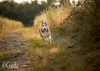 IMG-20240901-WA0004